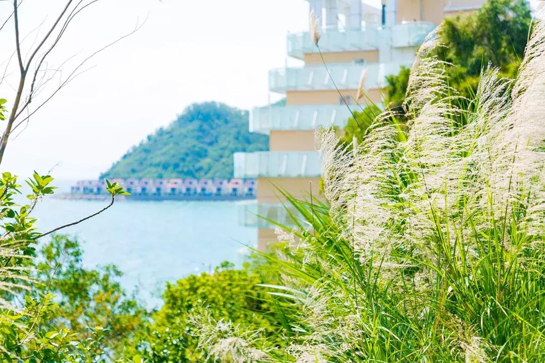 深圳十大一日游景点,深圳十大免费公园景点大全