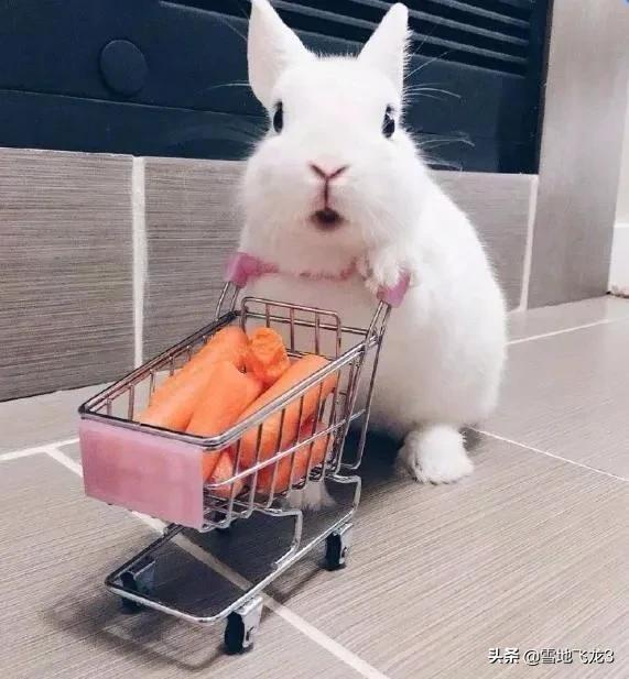 被举报的韩国代购,韩国代购被举报了吗