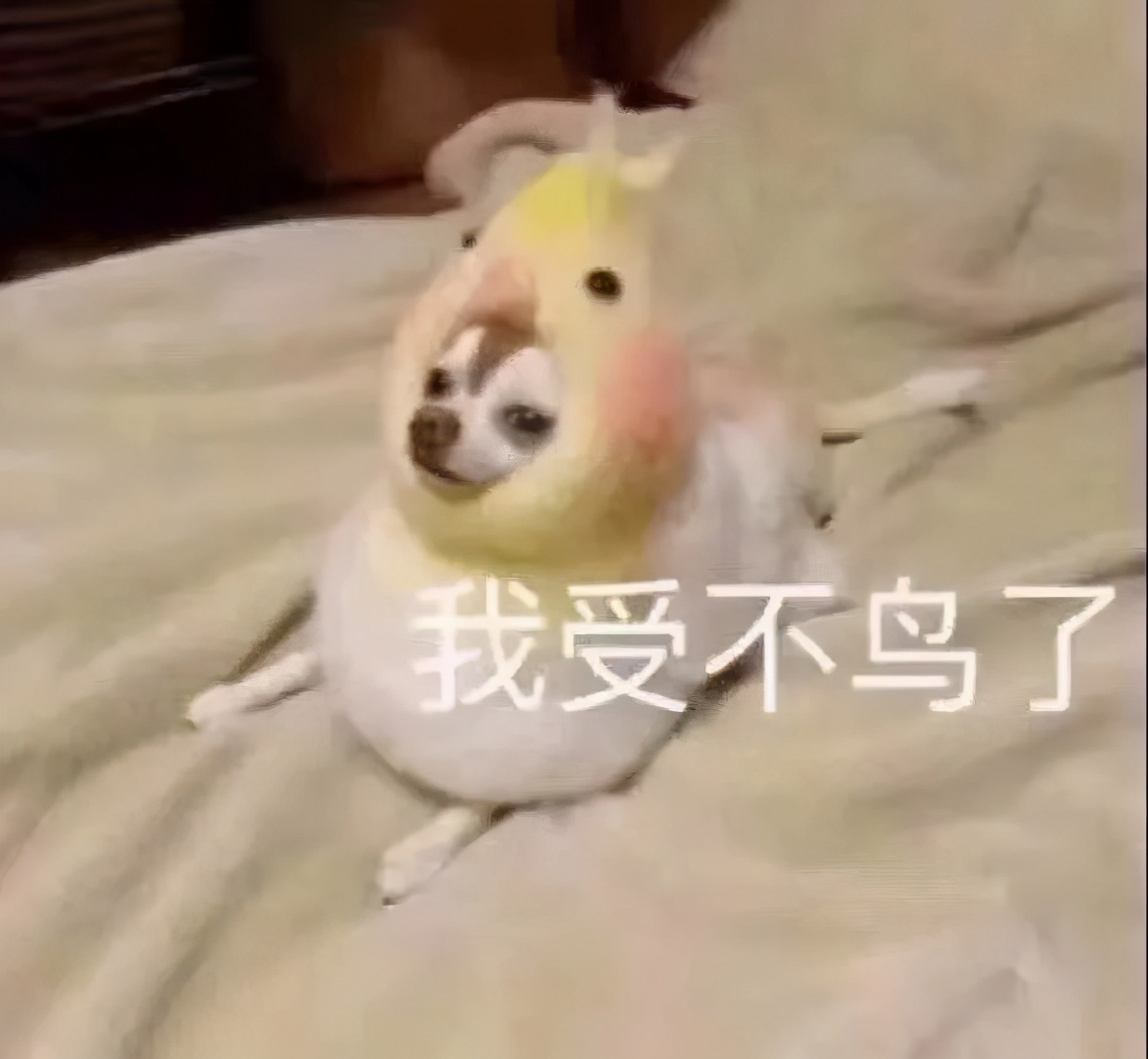 全脸点痣变美,点痣能变美吗