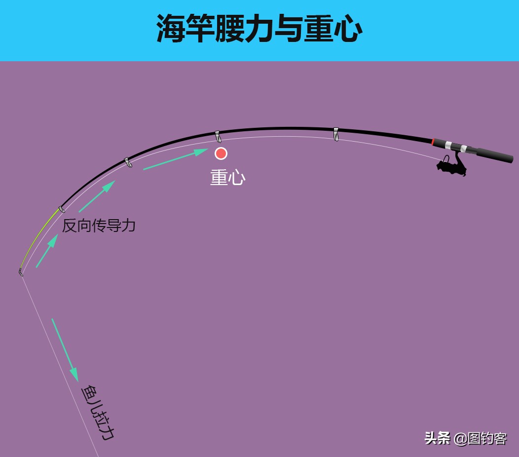 矶钓竿3+2线组适合钓多大鱼,矶钓竿搭配轮子