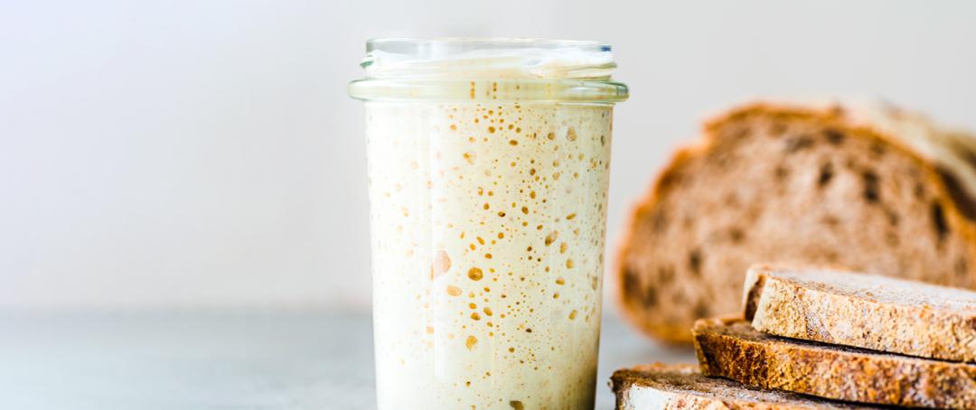 旧金山适合种植植物,旧金山为什么那么美