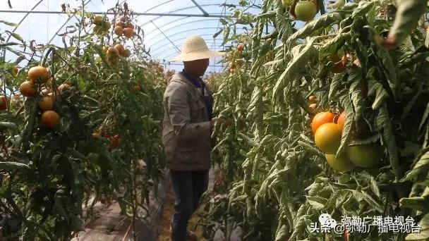 弥勒这一家子,穷!穷!富!富