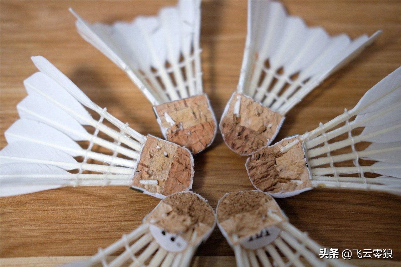 「中羽在线飞云零狼」威羽斯钻一钻二钻五评测——高性价比鹅毛球