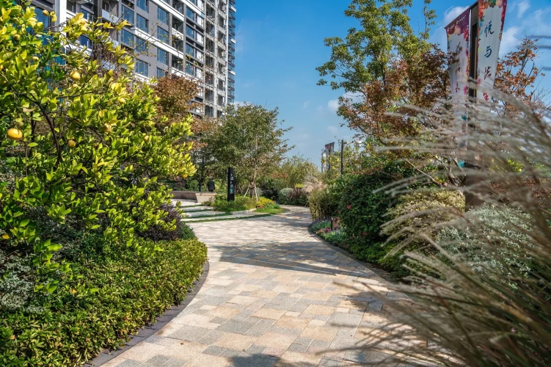 「泛亚出品」面向天空谋划未来TOD上盖的秘境花园