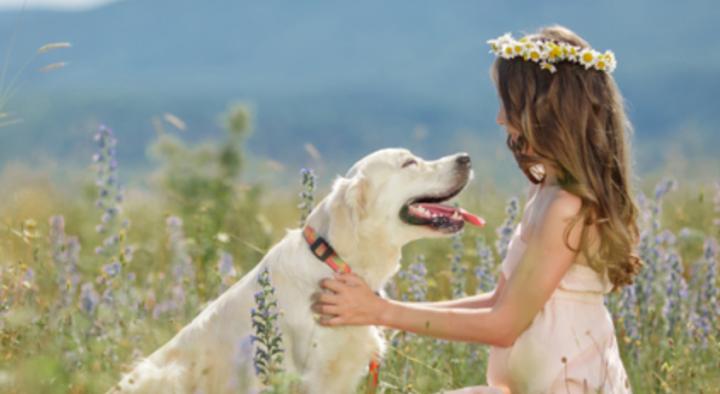 犬吃什么药发情快,让公犬发情用什么药好