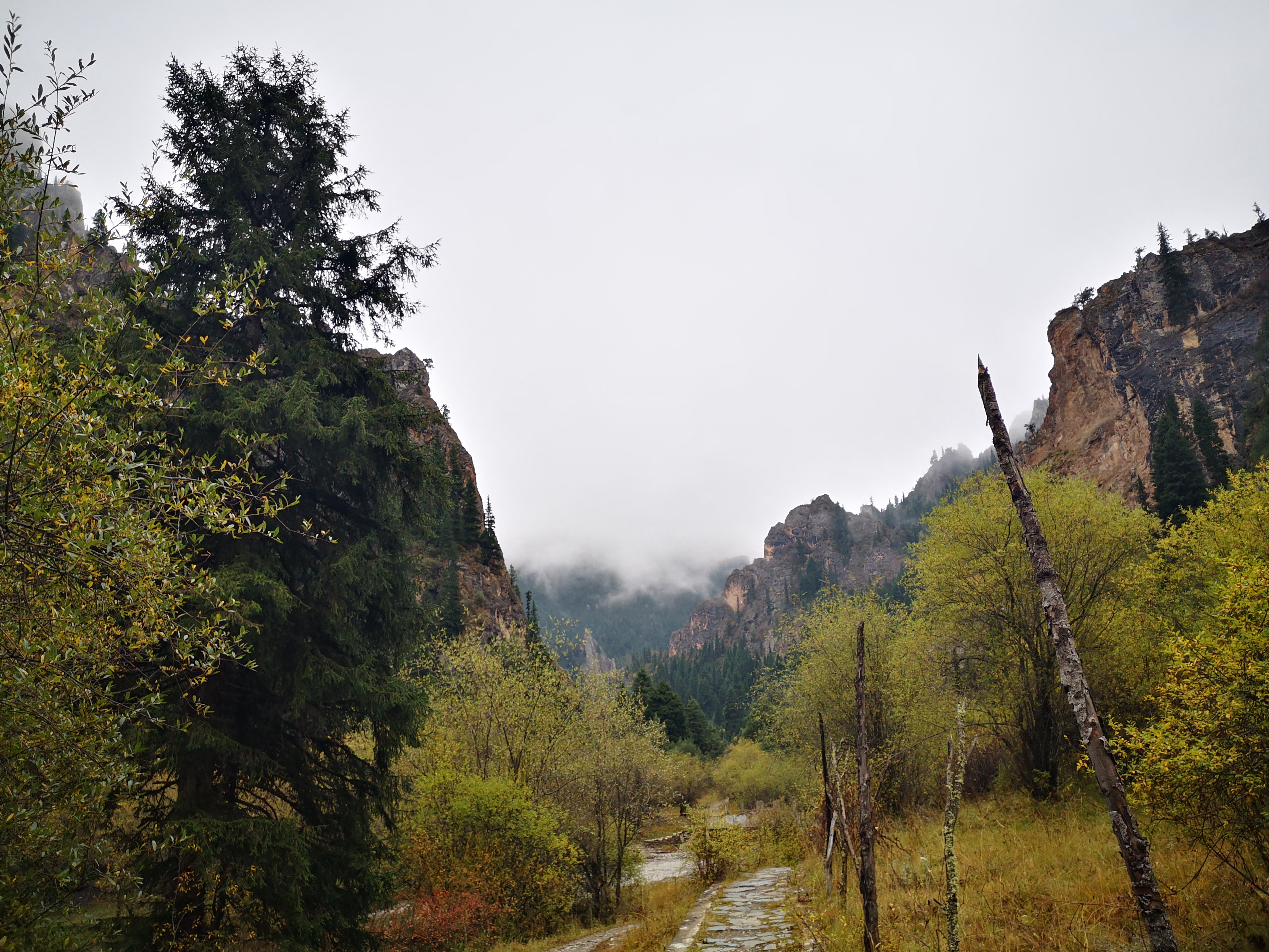 则岔石林游记,尕海湖和则岔石林
