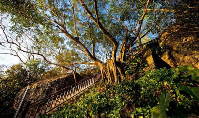 南京三天两晚闺蜜游攻略,闺蜜上海5天4晚自由行攻略