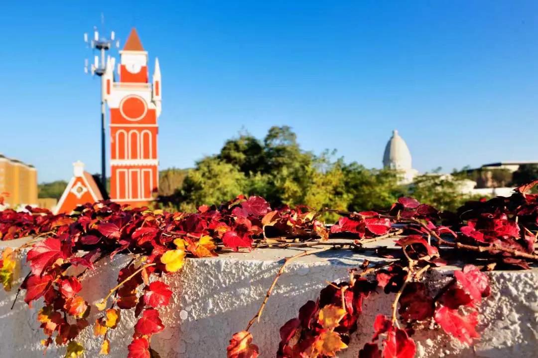 神奇的小组任务：沈阳城市学院学生感叹，这样的作业真过瘾！