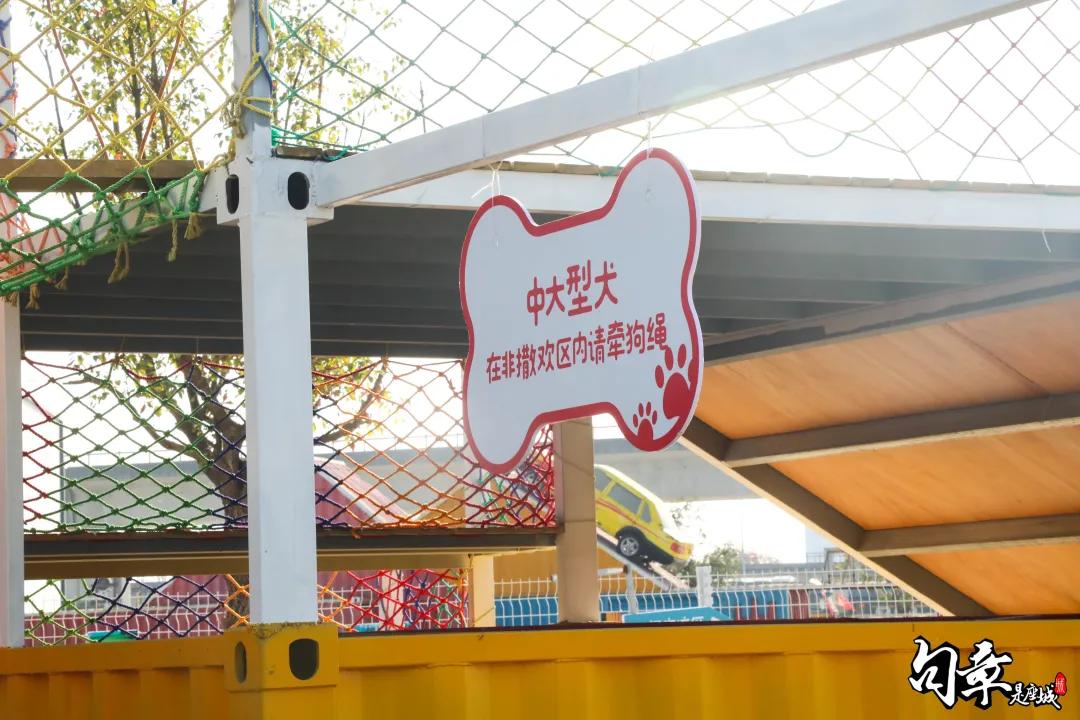 汪汪汪~宁波首家宠物主题乐园登陆江北，铲屎官们走起