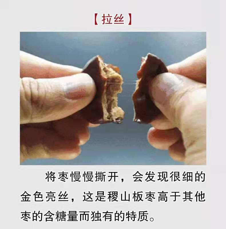 山西稷山板枣新品种,山西稷山板枣