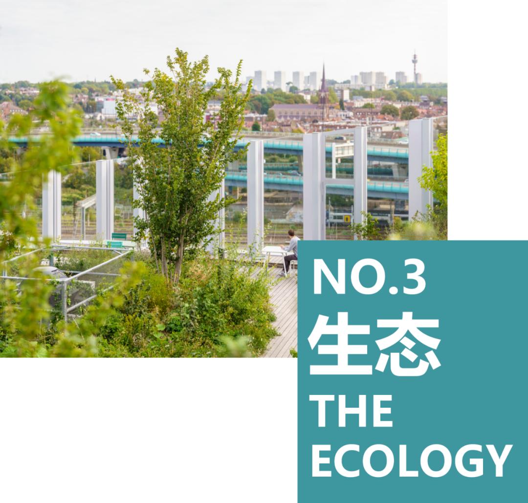 被绿植包围的大楼,被绿植围绕的空间