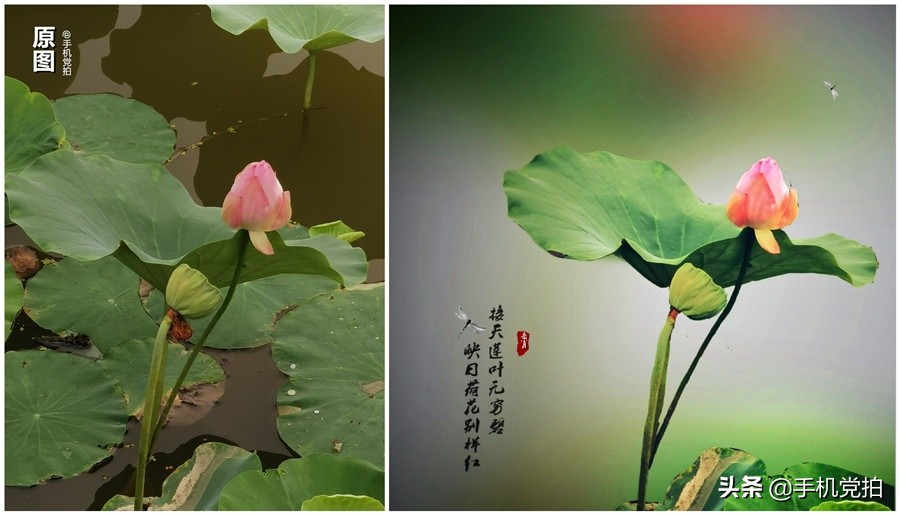 对镜自拍背景杂乱怎么虚化背景,如何把照片里面杂乱的背景虚化