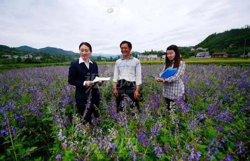 返乡创业山沟里的致富路,关于乡村返乡创业的思考