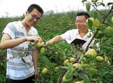 大学生村官值不值得考,大学生村官好考吗甘肃