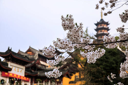 值得一去的南京旅游点,南京旅行攻略过年