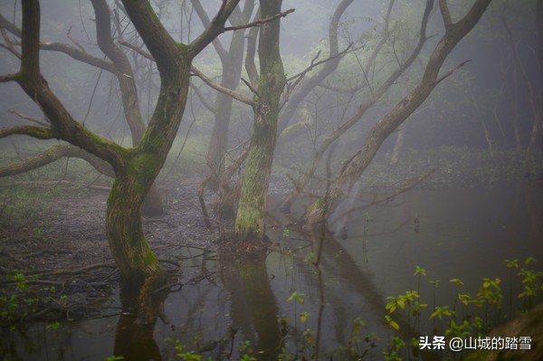 大洪山白龙池,大洪山风景名胜区白龙池