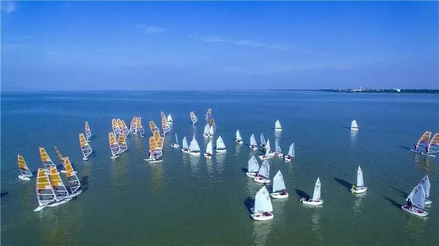 苏东坡清廉为官,苏东坡做官的品级