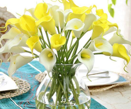 水养马蹄莲花朵发黄焦边干枯,夏天马蹄莲叶子发黄解决办法