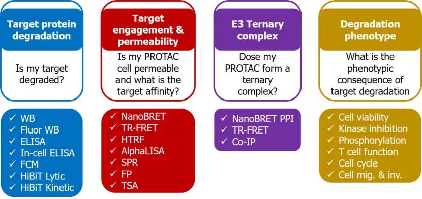 保诺—桑迪亚搭建PROTAC研发平台，为成药性助力