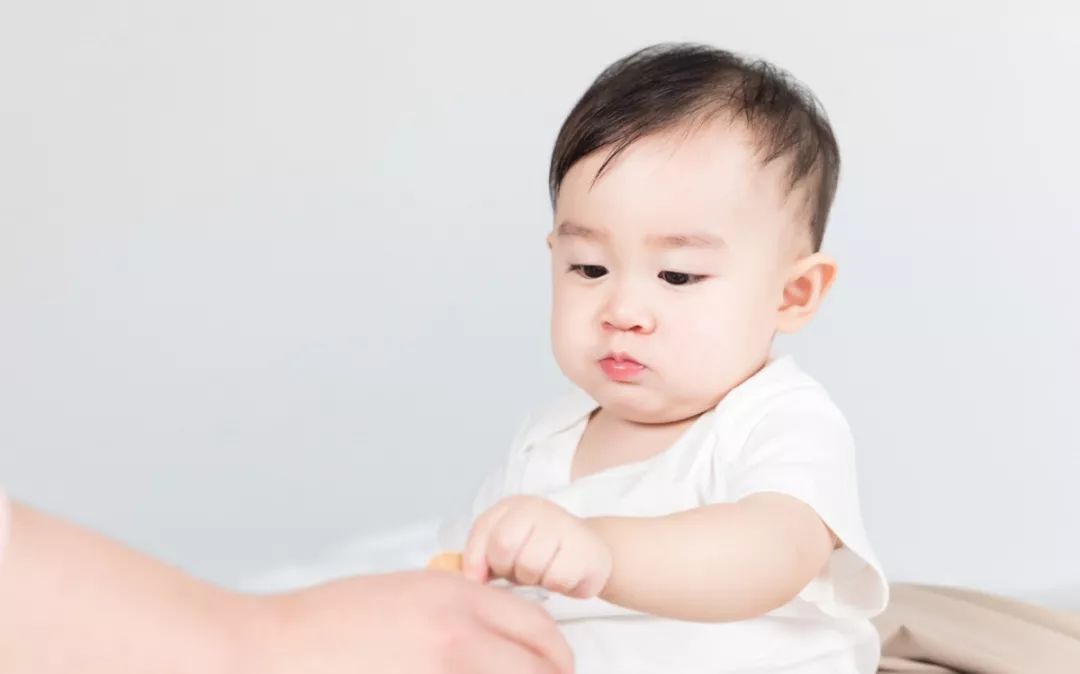 璇繜瀹濆疂璁粌鏈烘瀯,璇繜瀹濆疂璁粌宸ュ叿