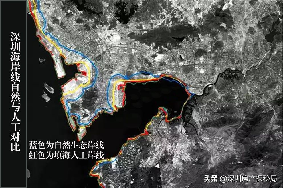 深圳湾的前世今生,深圳湾前身是什么村