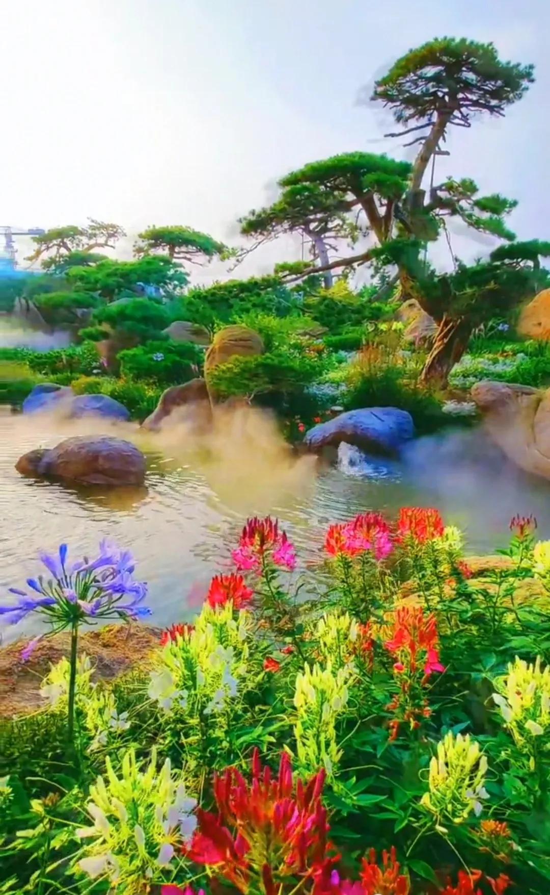 树洞心灵,心灵树洞我的心声