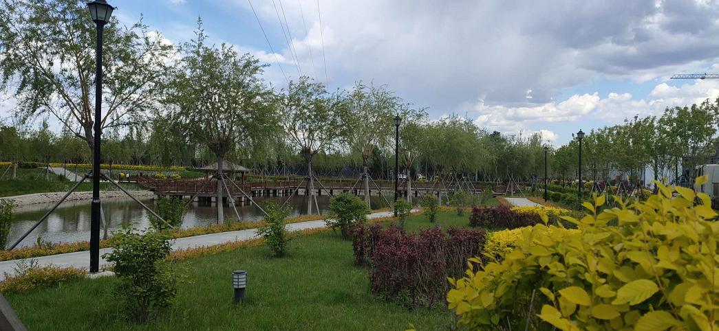 @长春人，这里有您一分田！快来认领！