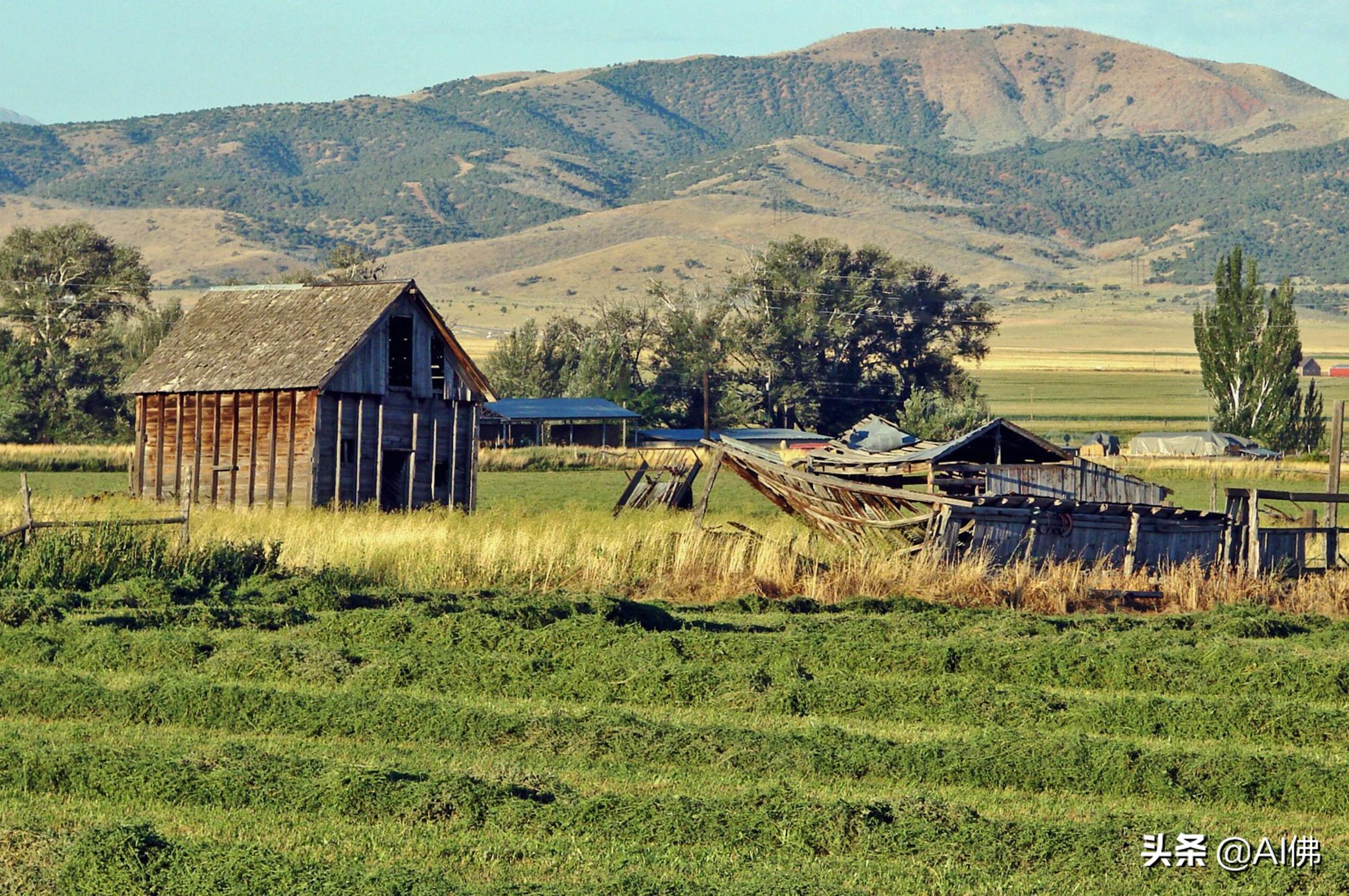 美国农田最多的州,美国哪个州的农场土地肥沃