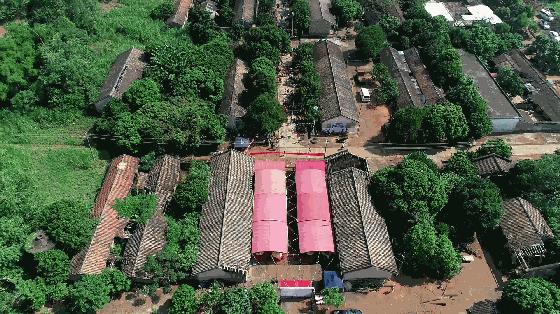 知青下乡49周年纪念活动,纪念知青下乡50周年图片图文