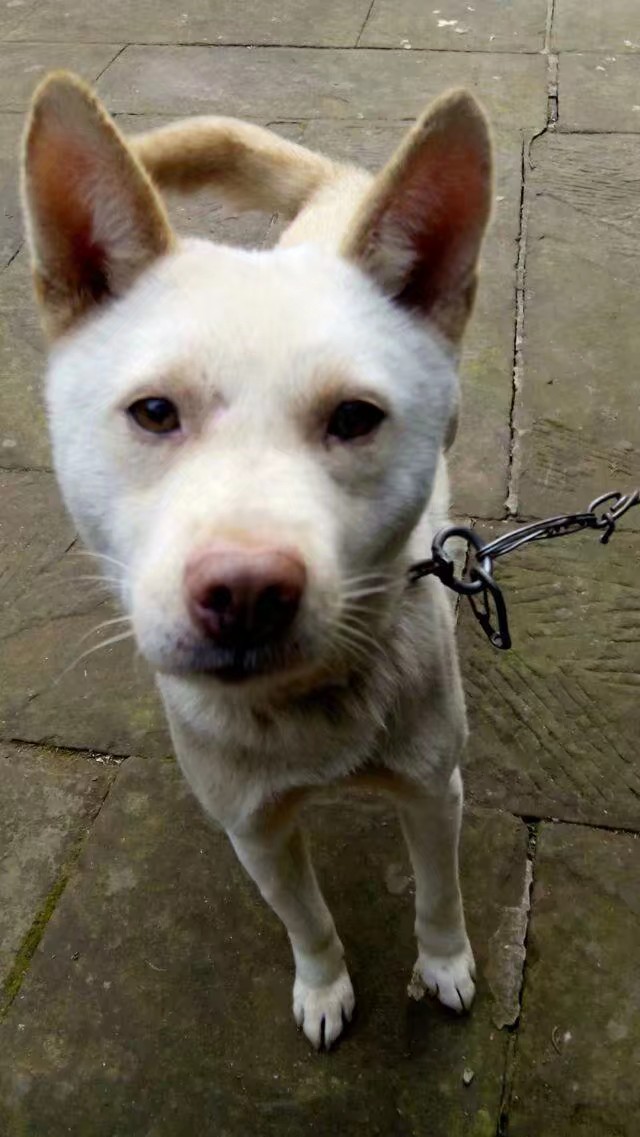 手机免费修复老照片软件,老照片扫描到手机