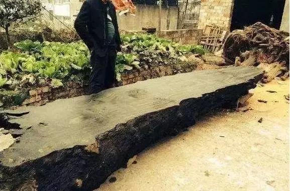 珍藏50年金丝楠现场开料，切出薄如纱的一块，众人瞬间沸腾！