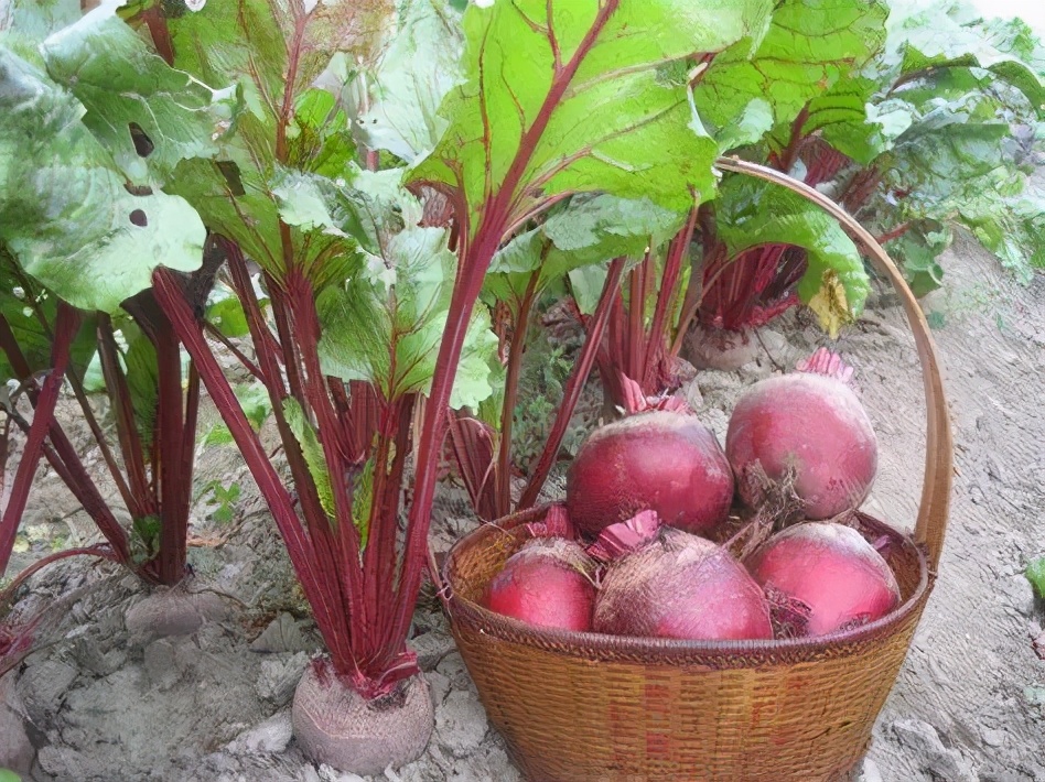 记录一些快乐的小事,记录一些开心的瞬间