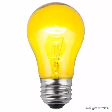 昆虫为什么会被灯吸引,吸引昆虫的灯光