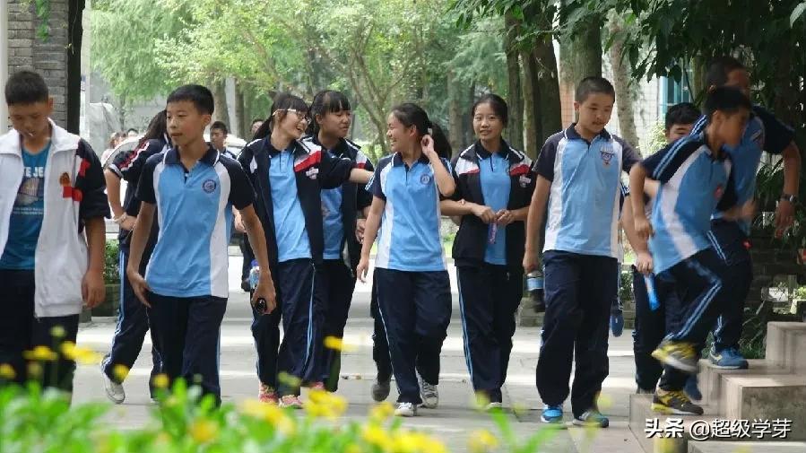 小升初升学必备资料有哪些,成都小升初择校最佳方案和时间