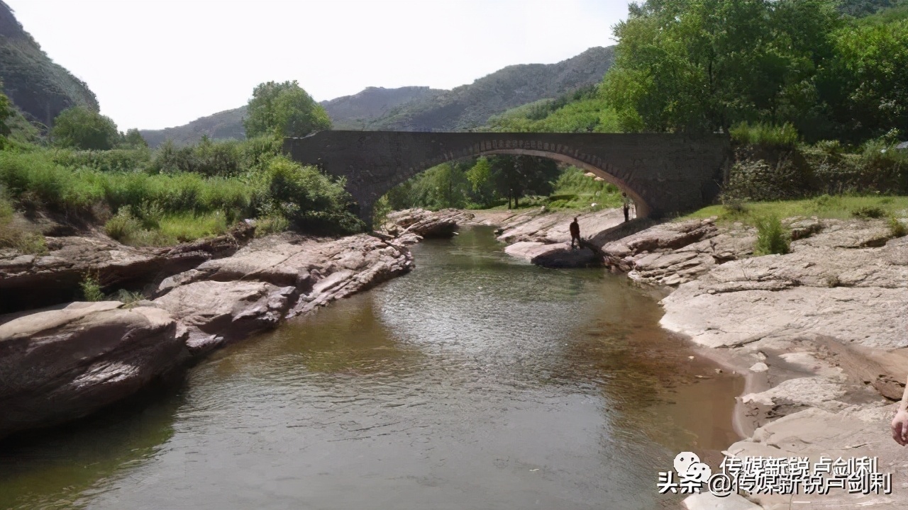 秦岭细鳞鲑科普,秦岭细鳞鲑百科介绍
