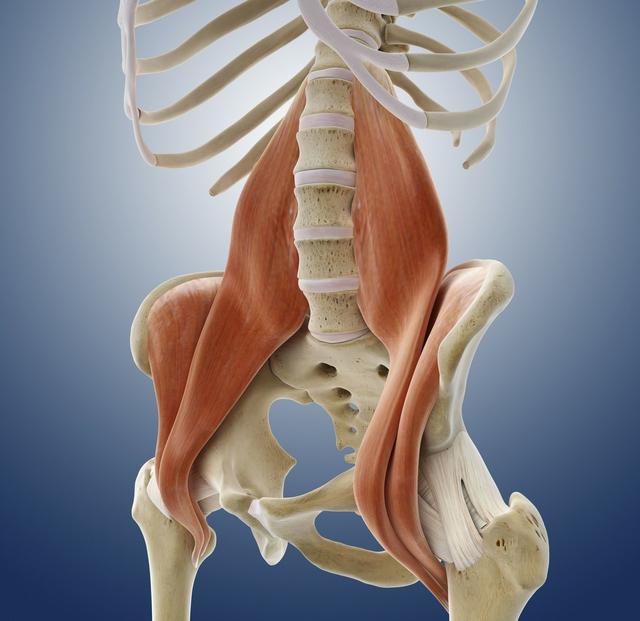 如何看到真实的腿粗,你真的了解你的腰吗