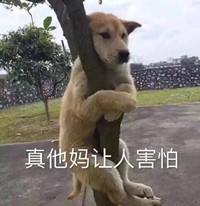 发现手机存在安全问题能得多少钱,发现手机漏电了怎么办