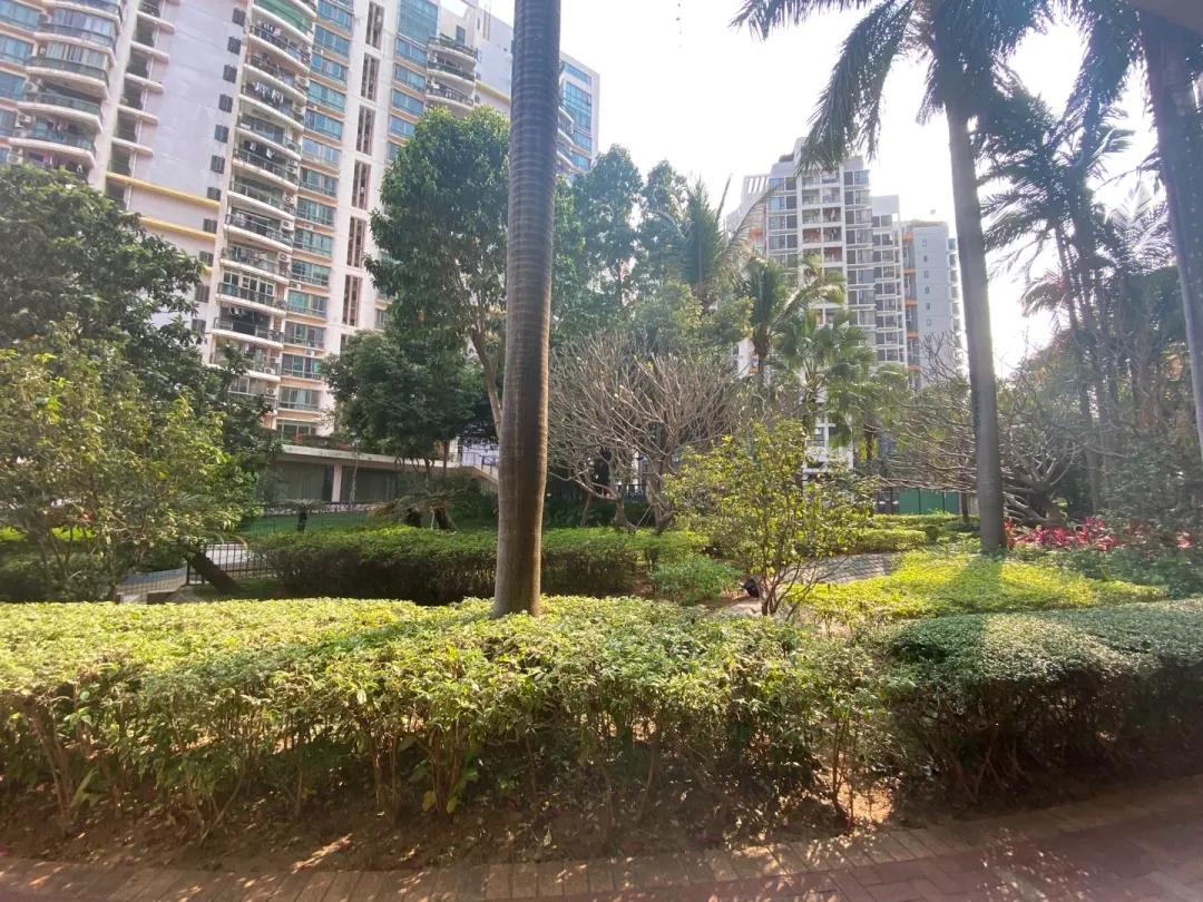 八大录取率名列前茅的二梯队石厦学校，学区房500万起