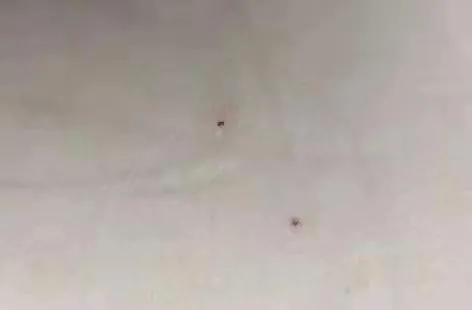 红黄蓝幼儿园虐童事件今日说法,红黄蓝幼儿园虐童事件的舆情变化