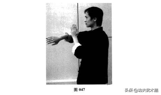咏春拳八手叶问,咏春拳禁术之一标指手动作讲解