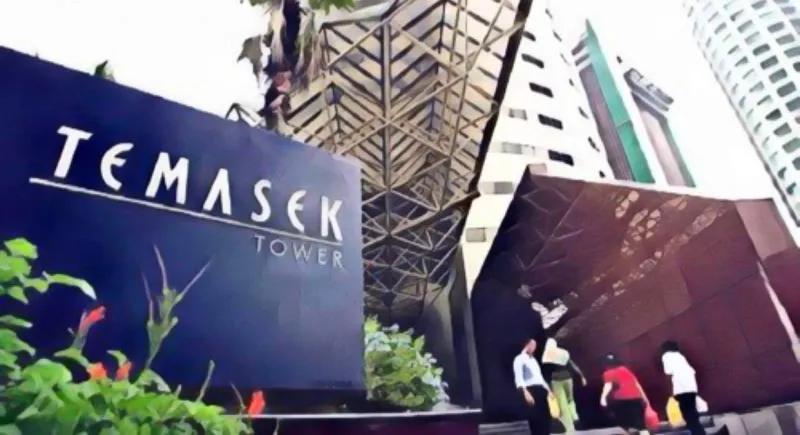 “大象”淡马锡：带着镣铐跳舞|IIR·价值透镜