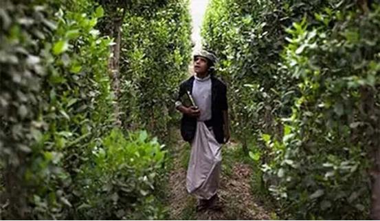 一个被人遗忘的国家,一个被人们遗忘的战争