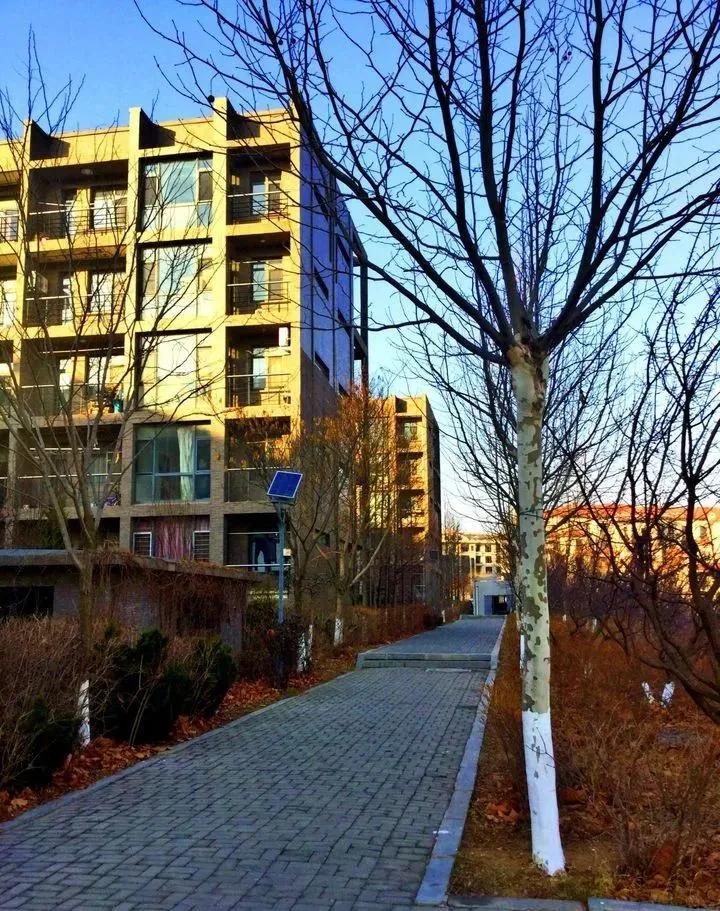 九大美院校园风景,中国九大美院校园风采