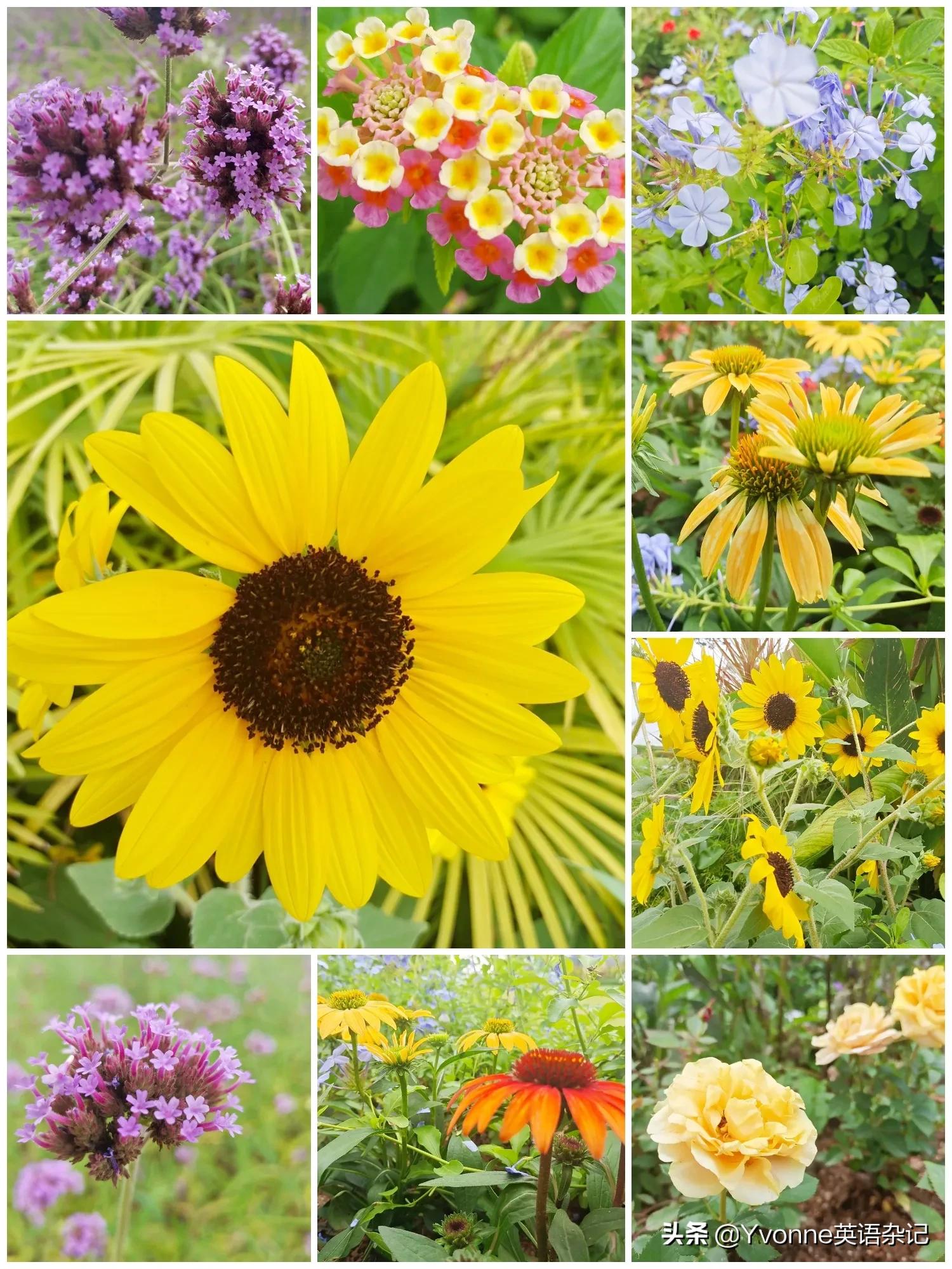 假期结束英语作文,我的假期用英语作文怎么写