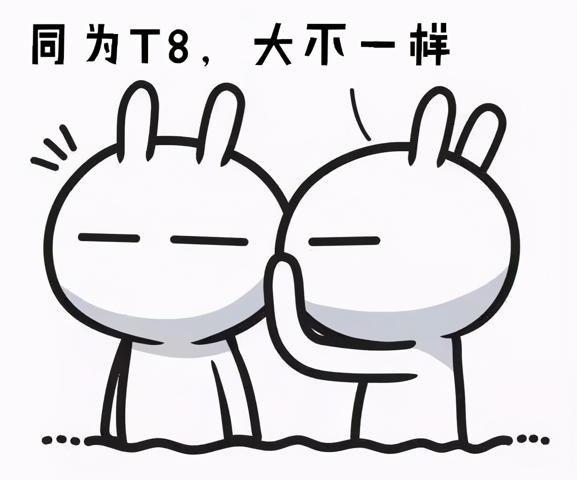 同为T8，AIVI和MAX该怎么选？长测告诉你