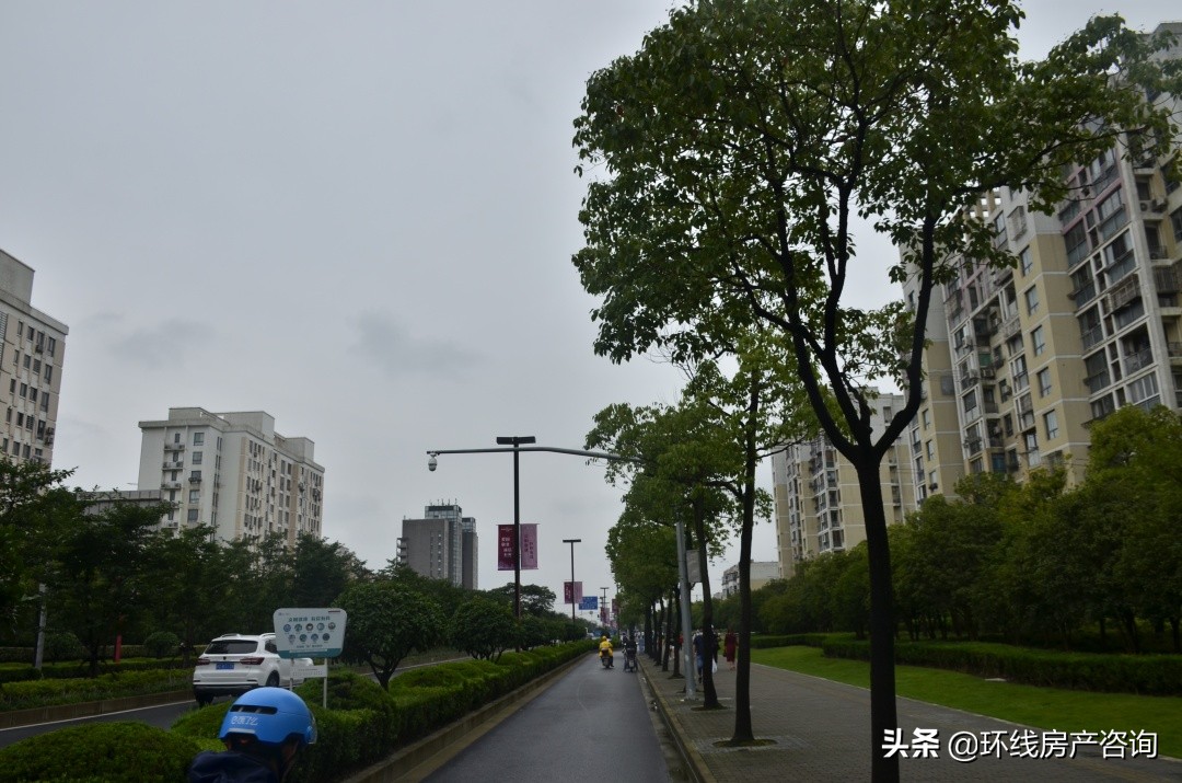 浦江镇怎么样啊,浦江镇为什么这么便宜