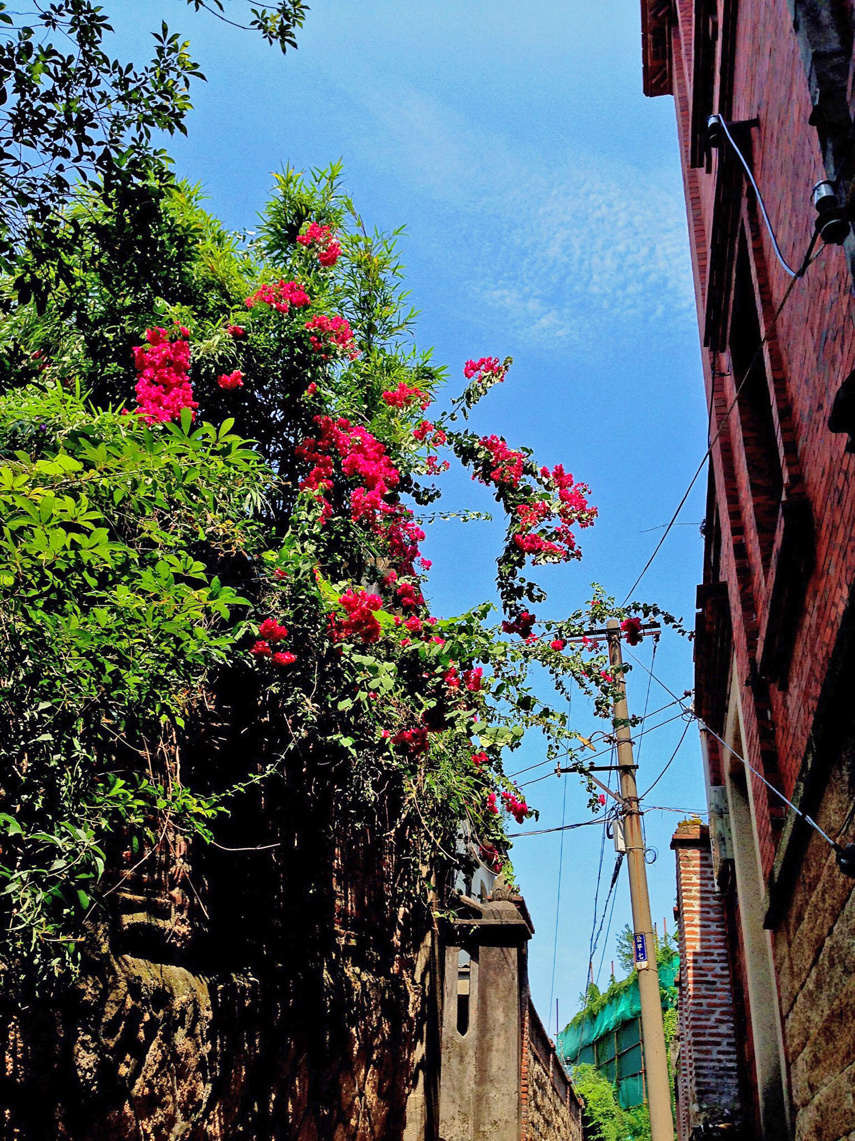 福建足球历史,这里是中国福建