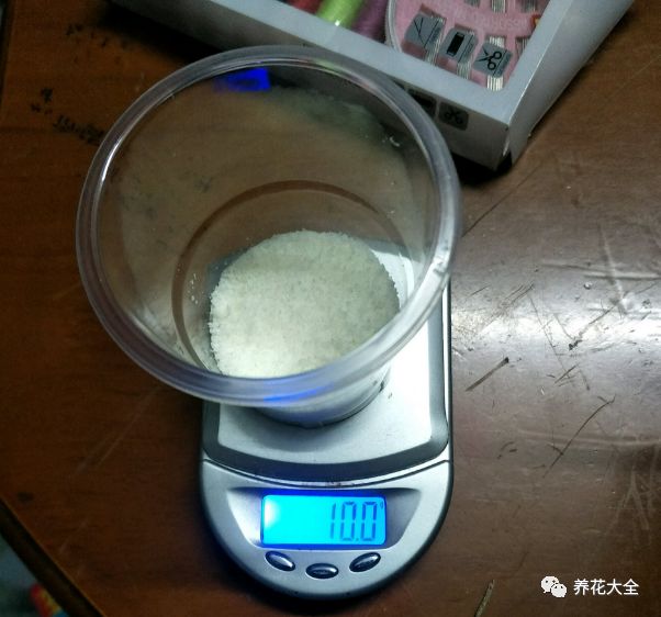 绿萝与铜钱草四季养护,怎么让铜钱草长得和绿萝一样