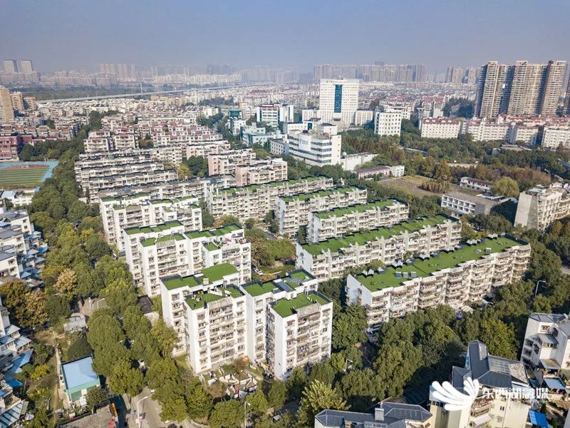 啧啧啧~常青花园，幸福的味道！