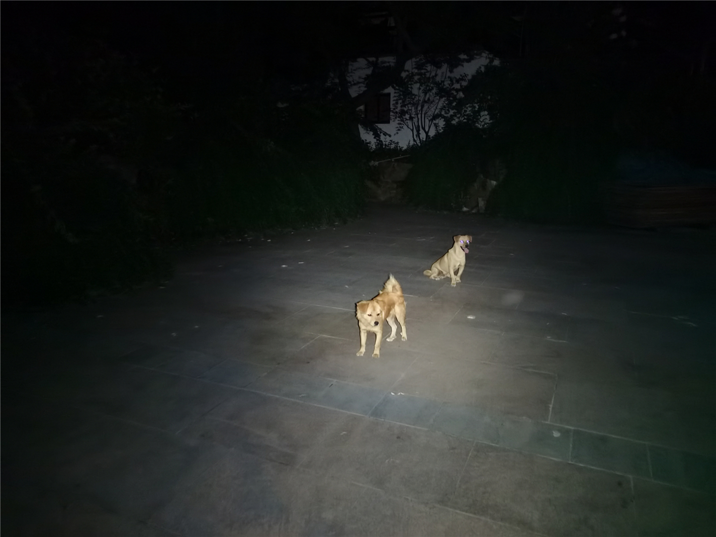 fenixe01,fenixe01v2.0手电